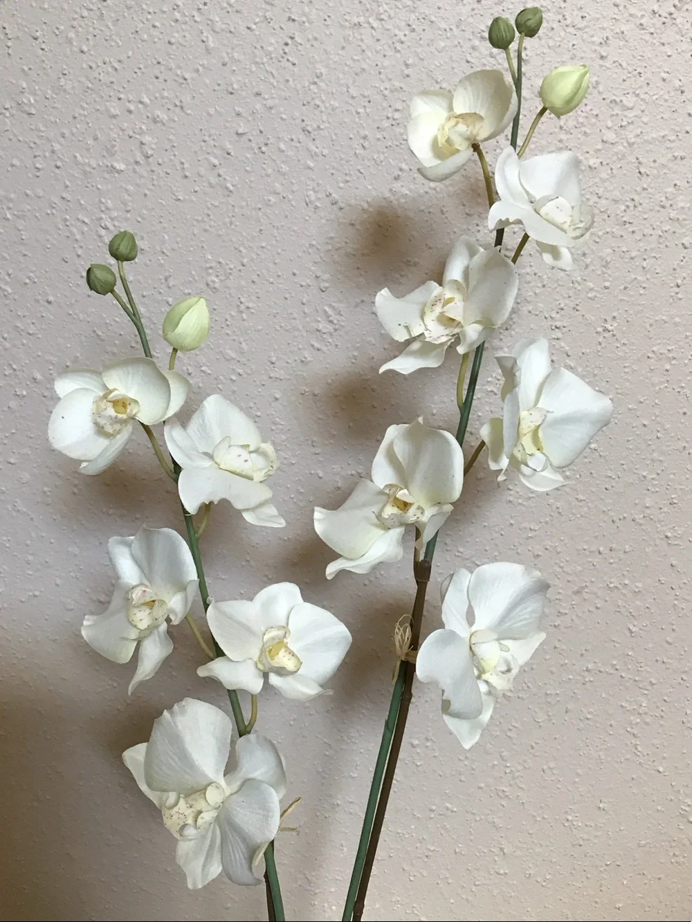 Artificial White Orchid Stem in Gray Pot - Home Accents